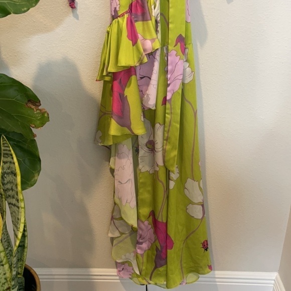 Glory Ang Passion Flower Kimono Wrap Dress - Picture 9 of 16